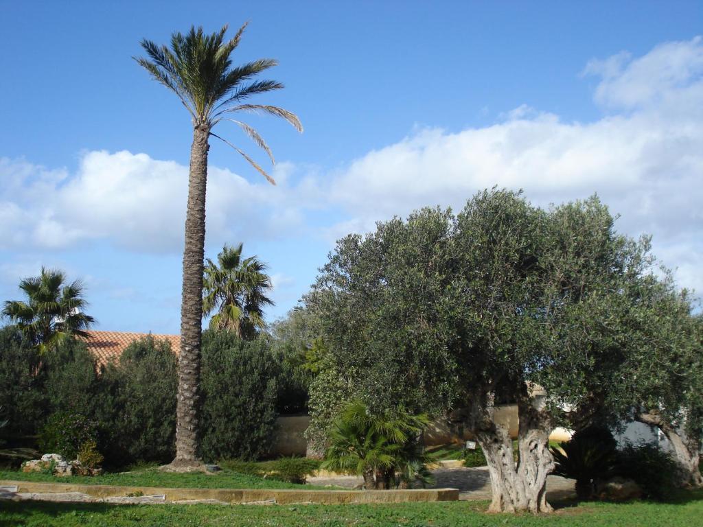 Villa Carlo Resort مارسالا المظهر الخارجي الصورة
